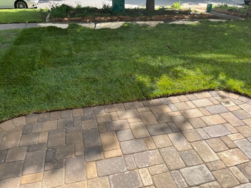 Revitalize Your Yard with Stunning Rock Features
