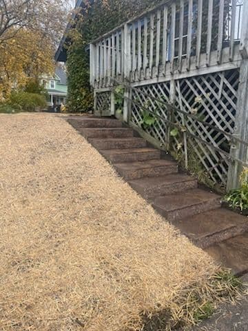 Gallery photos for St. Paul Paver Walkway and Steps Upgrade: Image #2